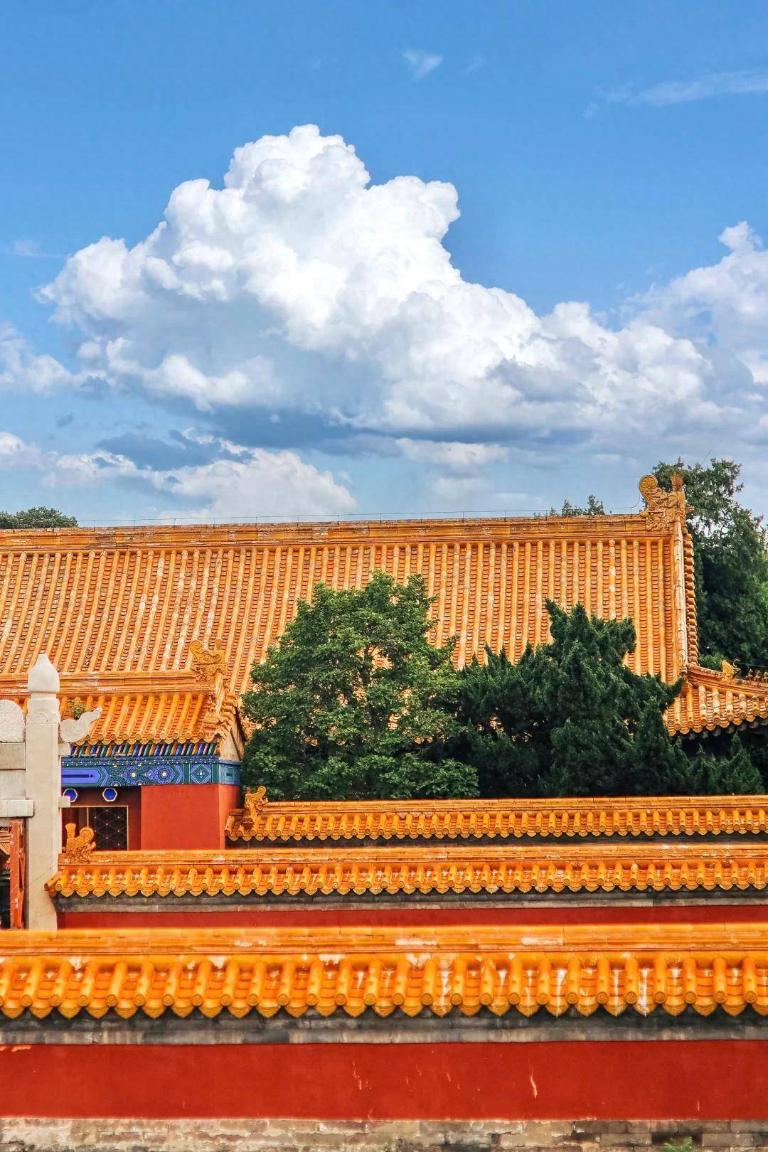 ！一家成团全程服务这俩旅行社绝了！九游会网址是多少高端定制游大揭秘