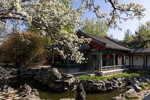 定制旅行社推荐帮你打造理想北京游玩j9九游真人游戏第一品牌北京私人(图3)