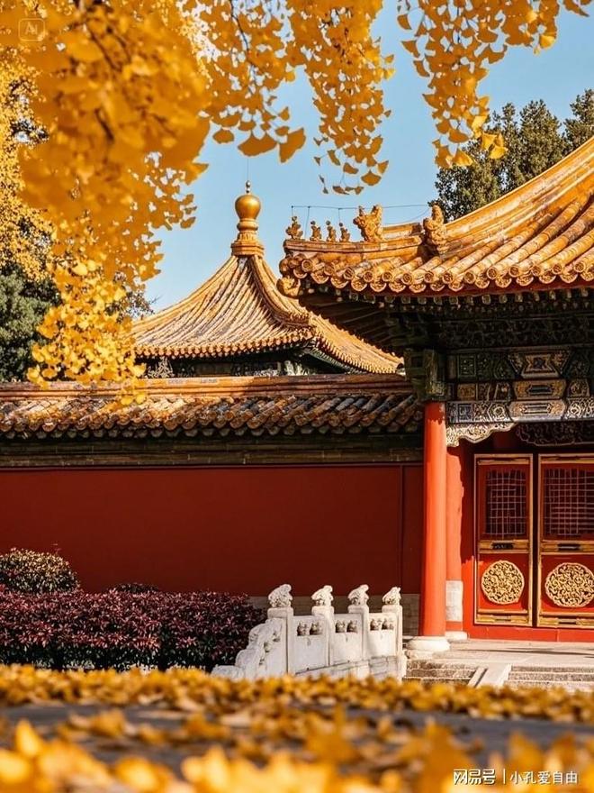 人订制旅行社大盘点选对不踩坑九游会网站必看！北京爆款私(图1)