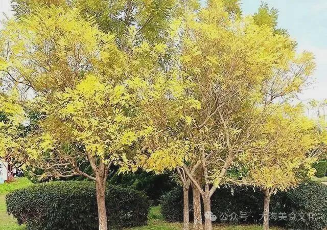 顺太阳沟景区!大连后花园值得一游!九游会国庆节60分钟徒步旅行:旅(图5) 顺太阳沟景区!大连后花园值得一游!九游会国庆节60分钟徒步旅行:旅(图5)