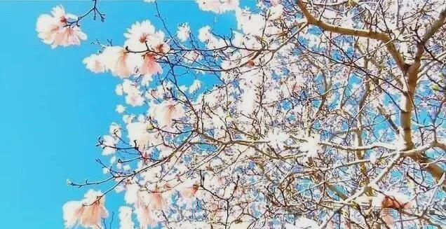 顺太阳沟景区!大连后花园值得一游!九游会国庆节60分钟徒步旅行:旅(图7) 顺太阳沟景区!大连后花园值得一游!九游会国庆节60分钟徒步旅行:旅(图7)