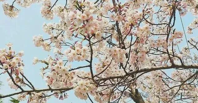 顺太阳沟景区!大连后花园值得一游!九游会国庆节60分钟徒步旅行:旅(图15) 顺太阳沟景区!大连后花园值得一游!九游会国庆节60分钟徒步旅行:旅(图15)