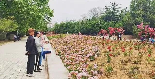 顺太阳沟景区!大连后花园值得一游!九游会国庆节60分钟徒步旅行:旅(图10) 顺太阳沟景区!大连后花园值得一游!九游会国庆节60分钟徒步旅行:旅(图10)